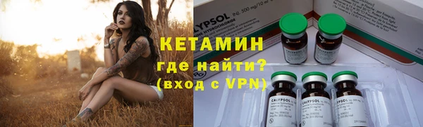 стаф Заводоуковск