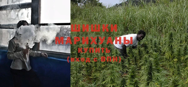стаф Заводоуковск